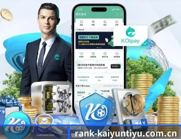 开云下载 APP 深度功能