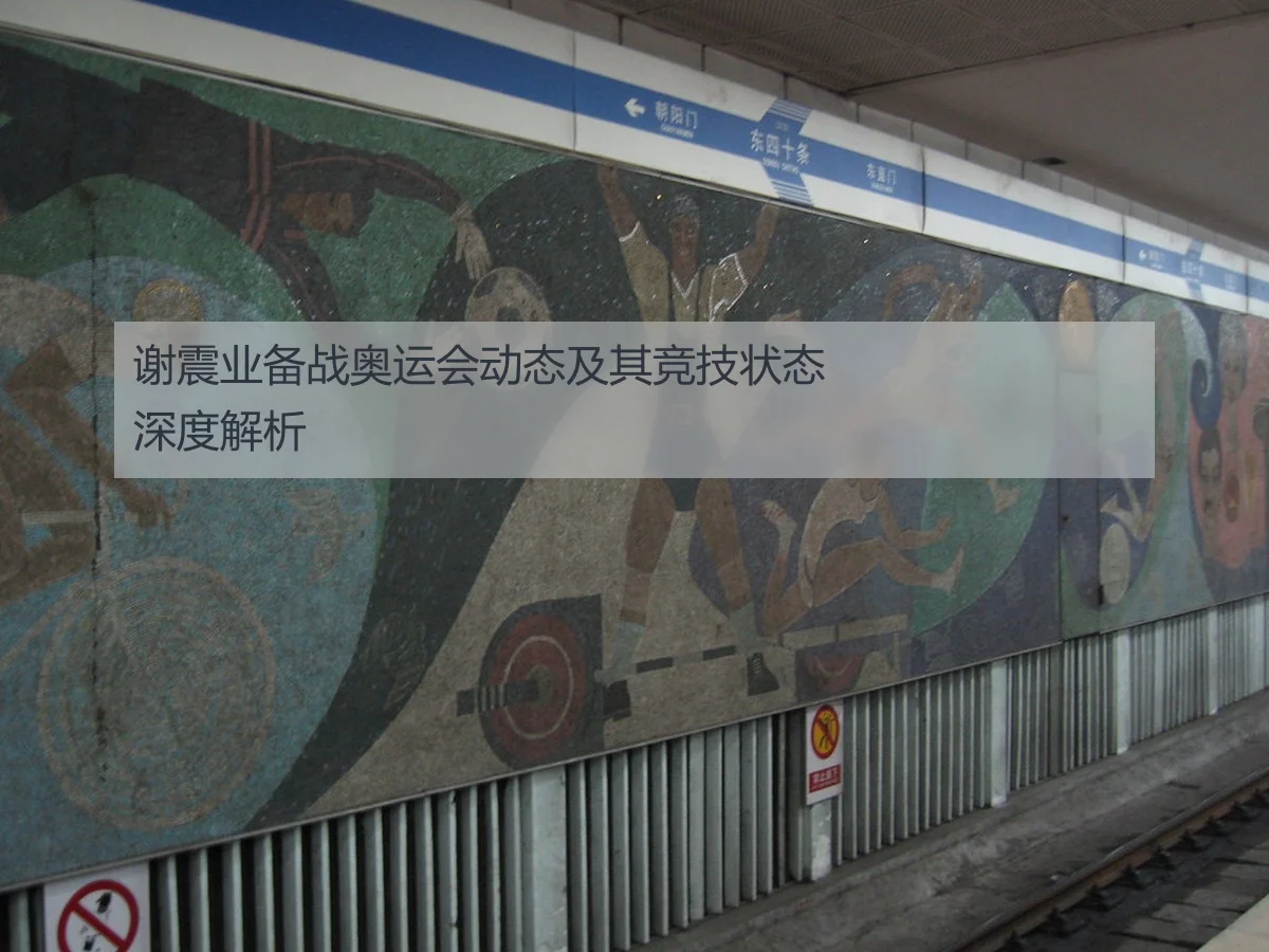 谢震业备战奥运会动态及其竞技状态深度解析