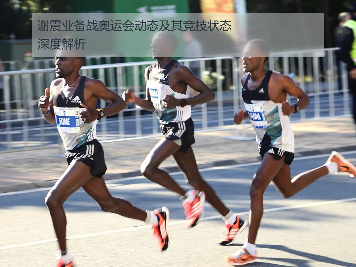 谢震业备战奥运会动态及其竞技状态深度解析